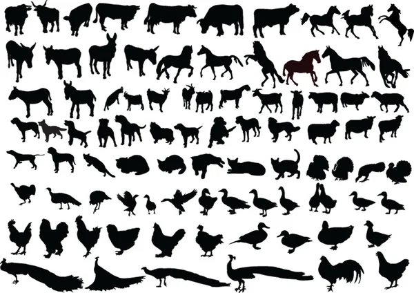 Colección de animales de granja — Archivo Imágenes Vectoriales