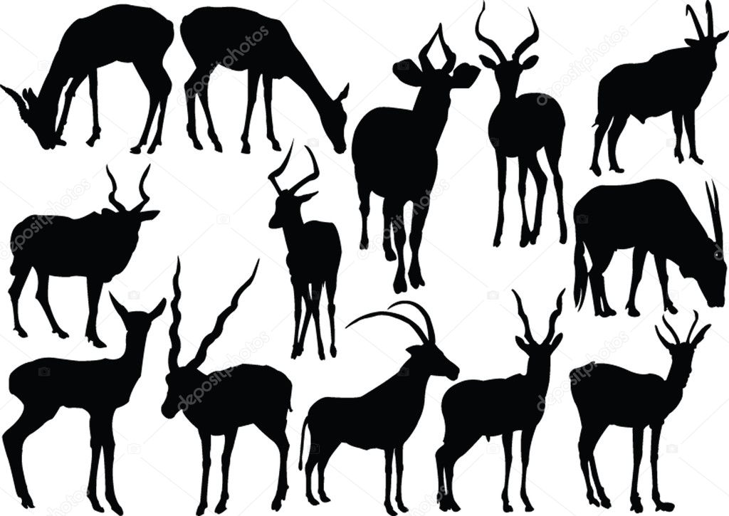 Antelopes silhouette collection