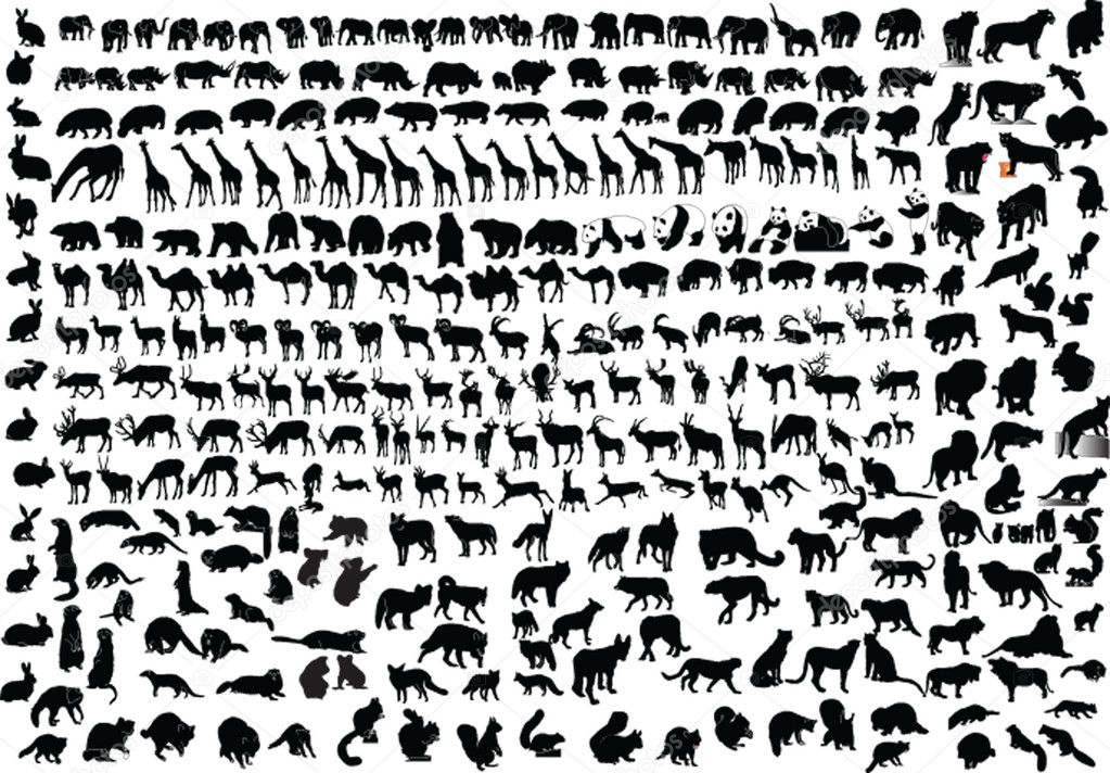 Collection of wild animals - vector