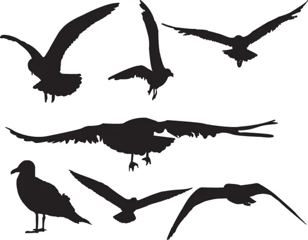 Sea gull колекції — стоковий вектор