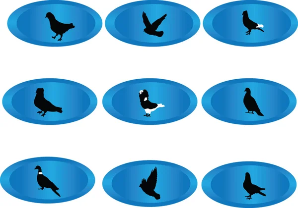 Botones con palomas — Vector de stock