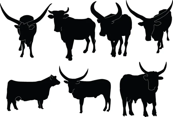 Coleção de ilustração de gado — Vetor de Stock