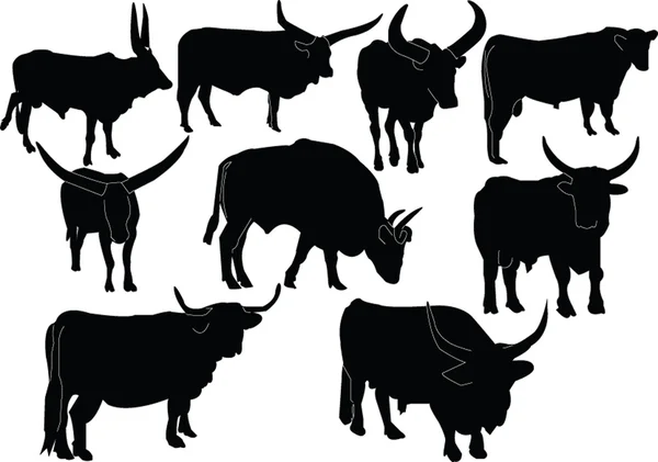 Колекція ілюстрація великої рогатої худоби — стоковий вектор