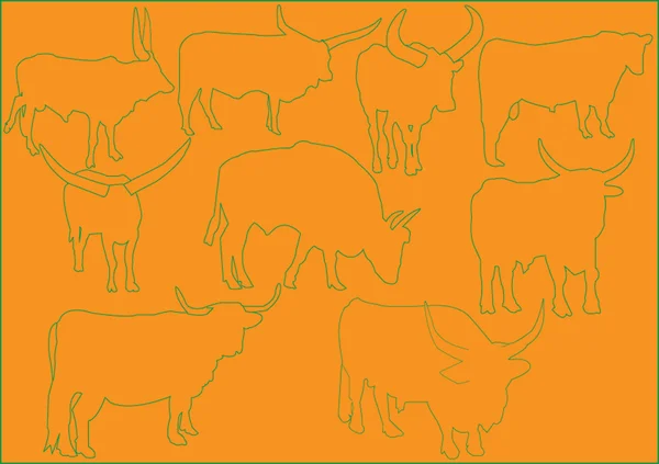 Coleção de ilustração de gado — Vetor de Stock