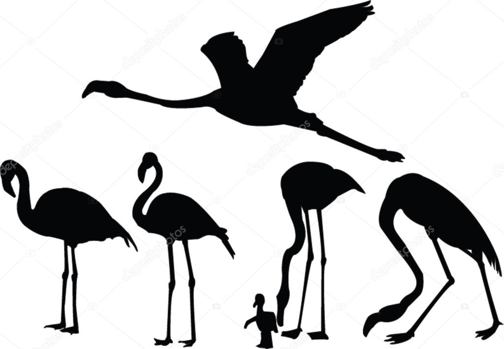 Flamingos collection Stock Vector by ©vule46 2131939