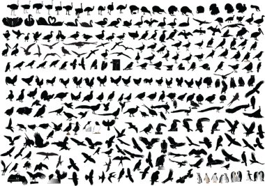 Hundreds of birds collection clipart