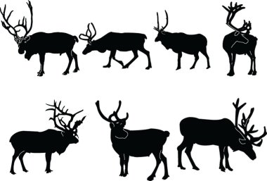 Reindeers collection clipart