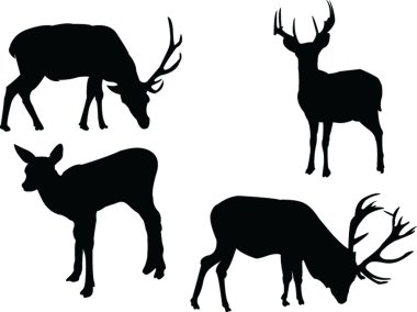 Deers collection clipart