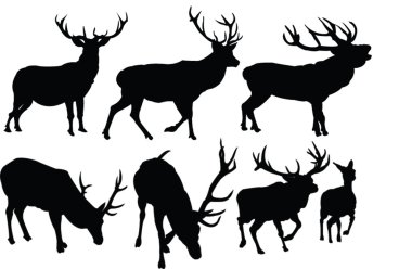 Deers collection clipart