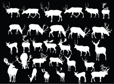 Deers collection clipart