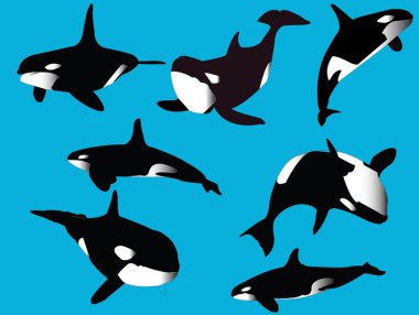 Whales collection clipart