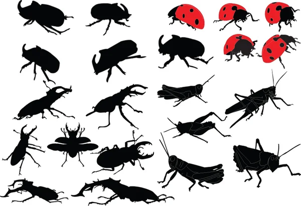 Insecten collectie — Stockvector