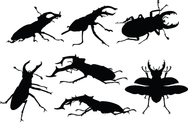 Stag-beetles collection — Stock Vector