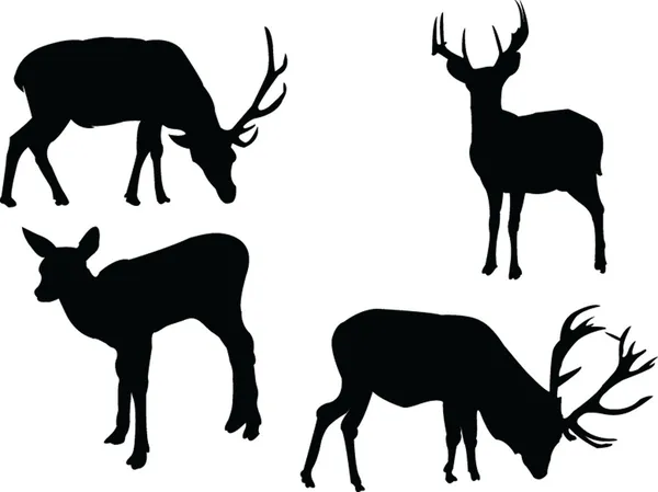 Deers 컬렉션 — 스톡 벡터