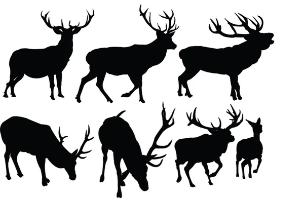 Deers collection — Stock Vector