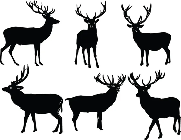 Kolekcja jelenie — Wektor stockowy