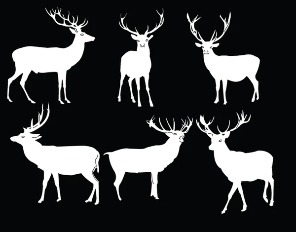 Deers collection — Stock Vector