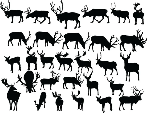 Collecte des cerfs — Image vectorielle