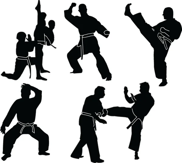 Karate Silhouette Kollektion — Stockvektor