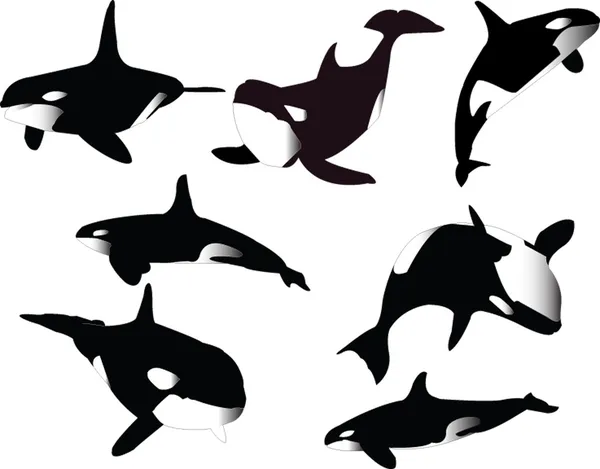 Collection de baleines — Image vectorielle