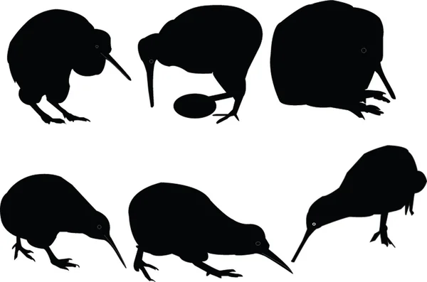 Collection d'oiseaux kiwis — Image vectorielle