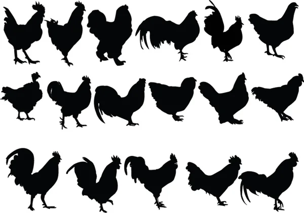 Chickens collection — Stock Vector