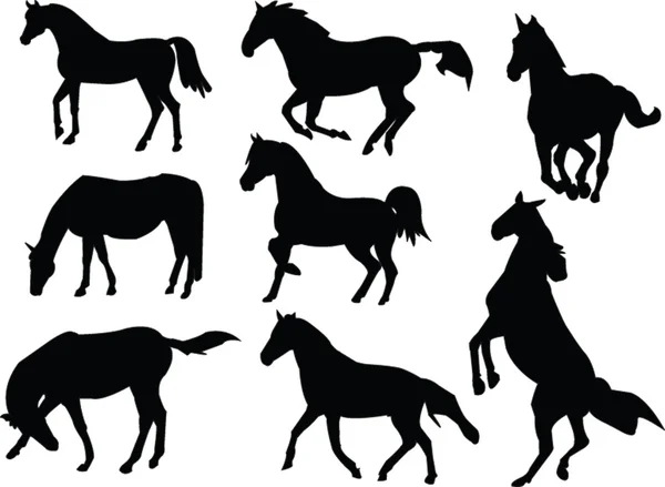 馬コレクション — ストックベクタ