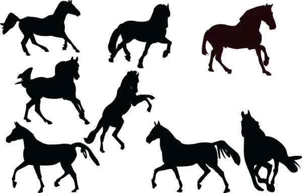 Colecção de cavalos — Vetor de Stock