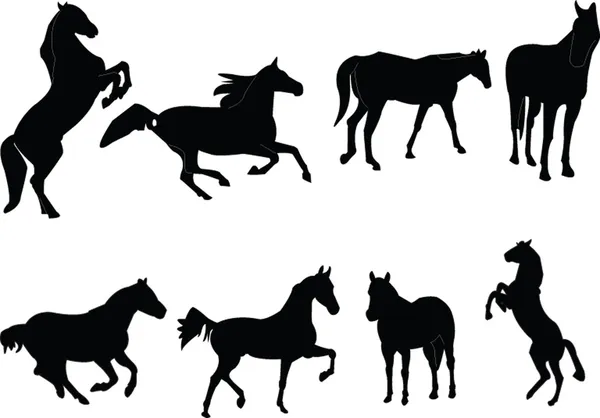 Colecção de cavalos — Vetor de Stock