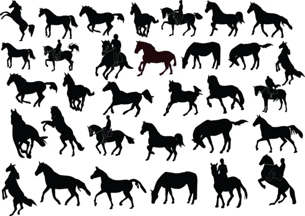 Collecte de chevaux — Image vectorielle