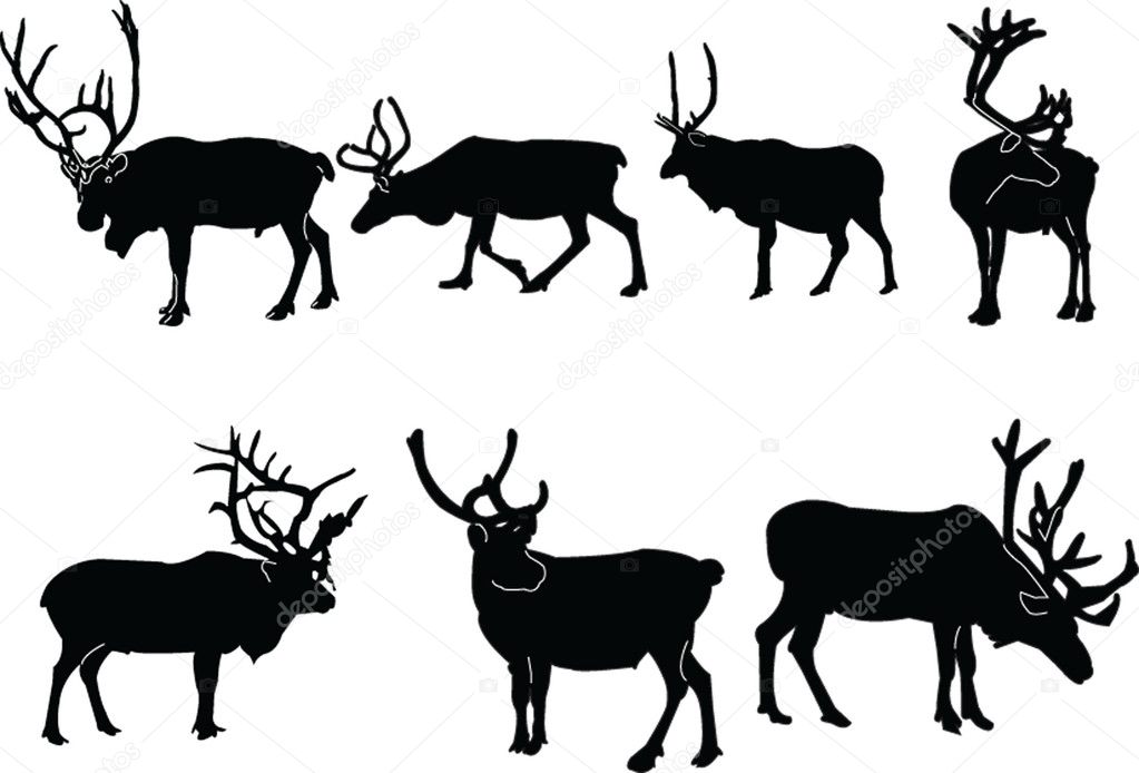 Reindeers collection