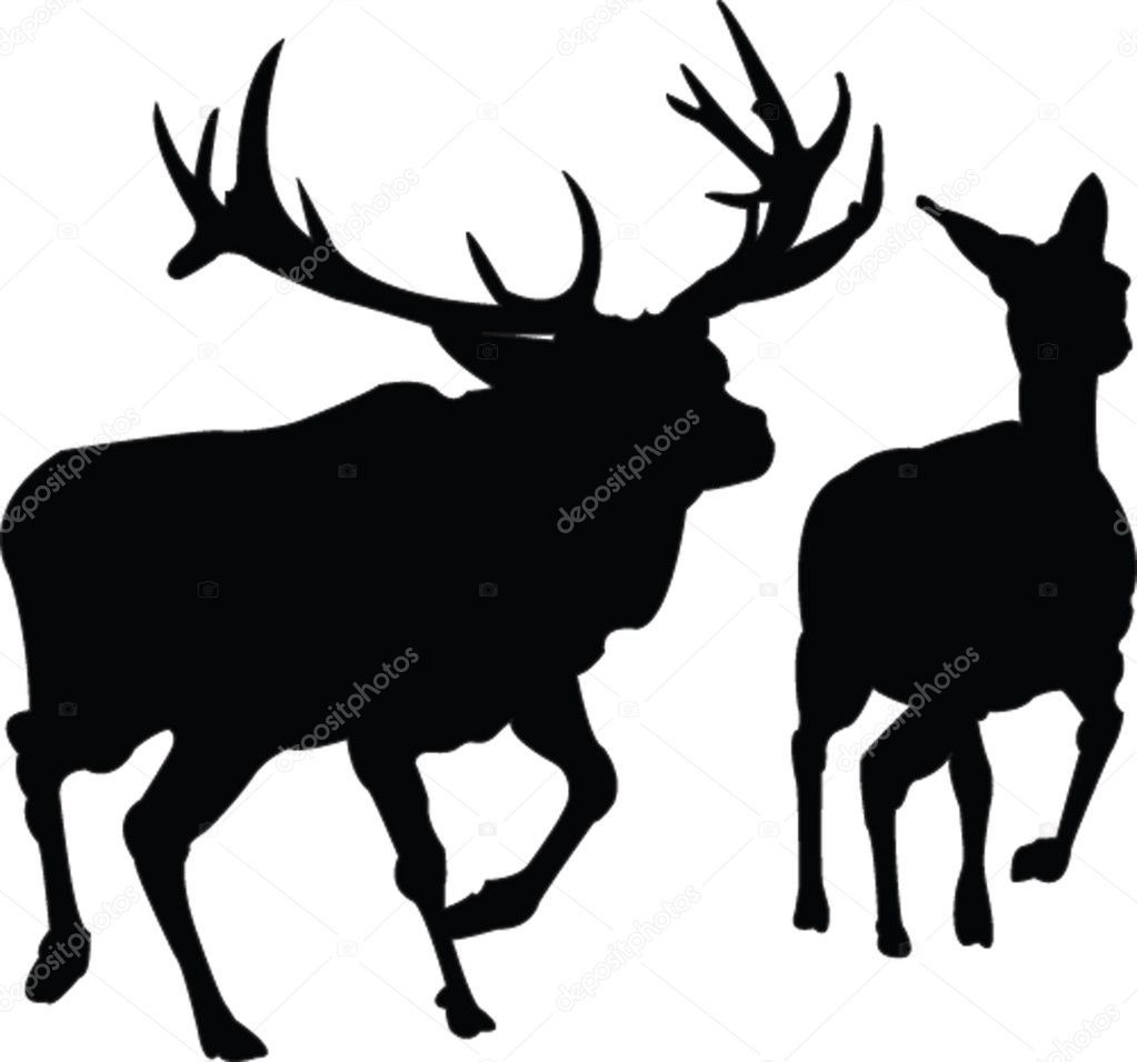 Deers familly silhouette