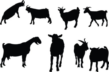 Download Goats Free Vector Eps Cdr Ai Svg Vector Illustration Graphic Art