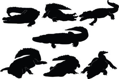 Crocodiles collection clipart