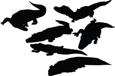 Crocodiles collection clipart