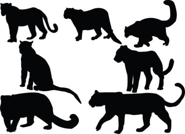 Leopards collection silhouettes clipart