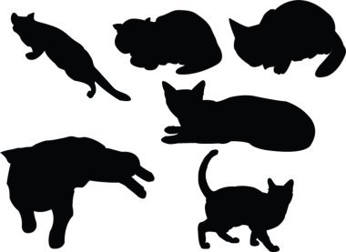 Cats collection clipart