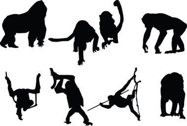 Monkey silhouette collection clipart