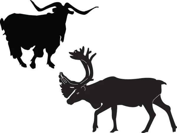 Goat and reindeer — Stock Vector