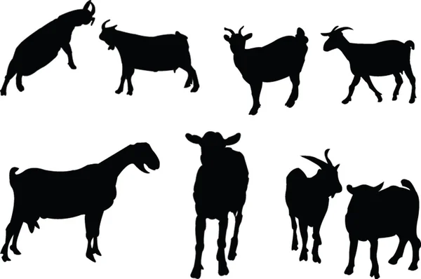 Kolekcja kozy — Wektor stockowy