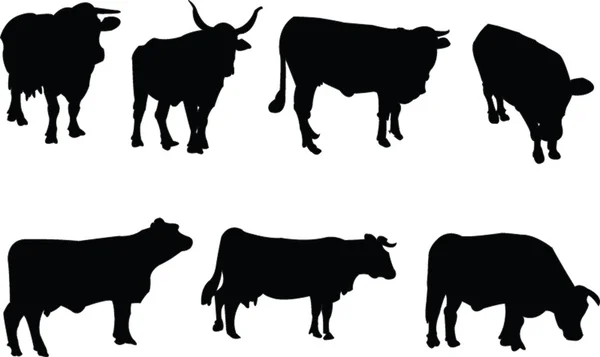 Collezione mucche — Vettoriale Stock