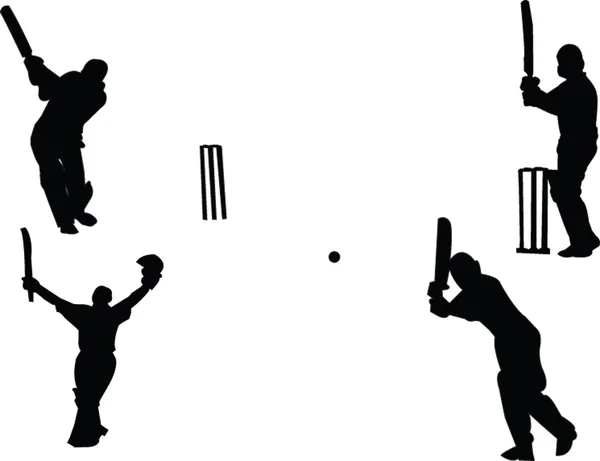 Collection de cricket — Image vectorielle