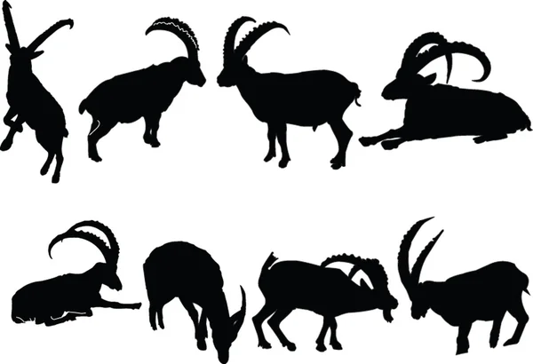 Collection chèvres rupestres — Image vectorielle