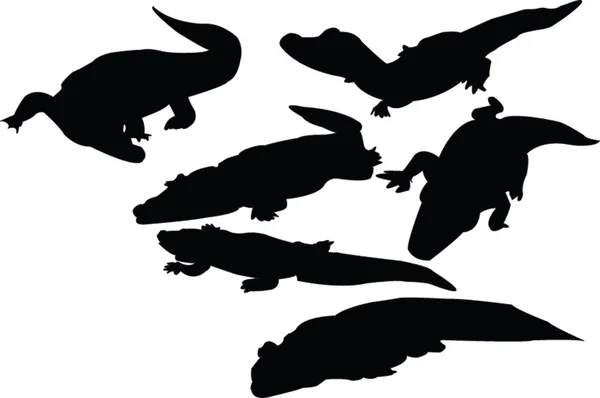 Collection Crocodiles — Image vectorielle