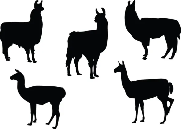 Collection Lamas — Image vectorielle