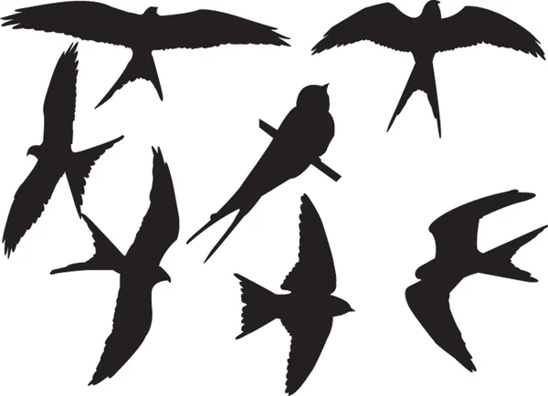 Zwaluwen collectie — Stockvector
