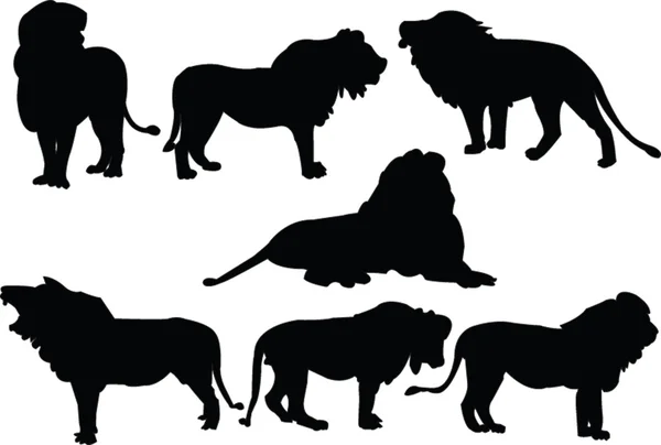 Collezione leoni — Vettoriale Stock