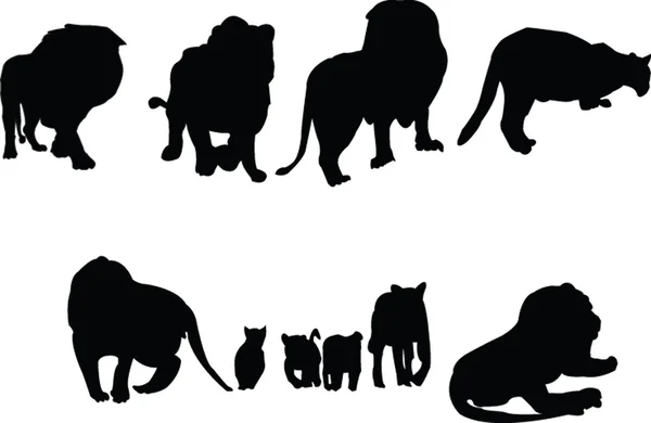 Collection Lions — Image vectorielle