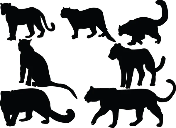 Leopards collection silhouettes — Stock Vector