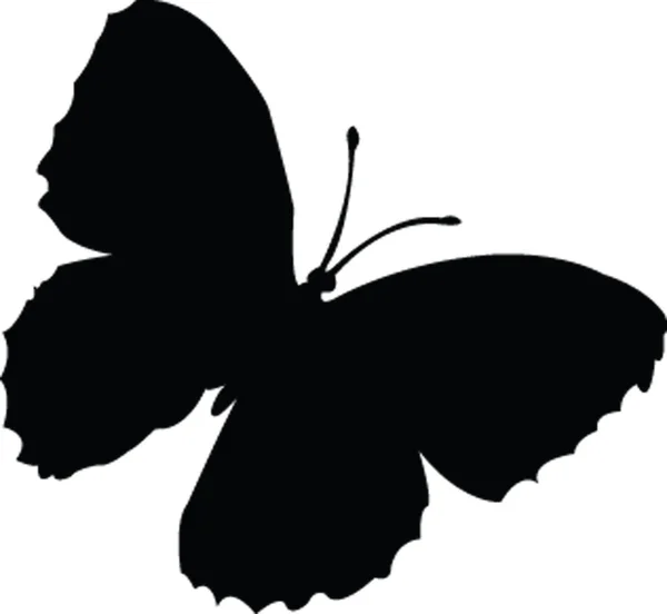 Vlindersilhouet — Stockvector